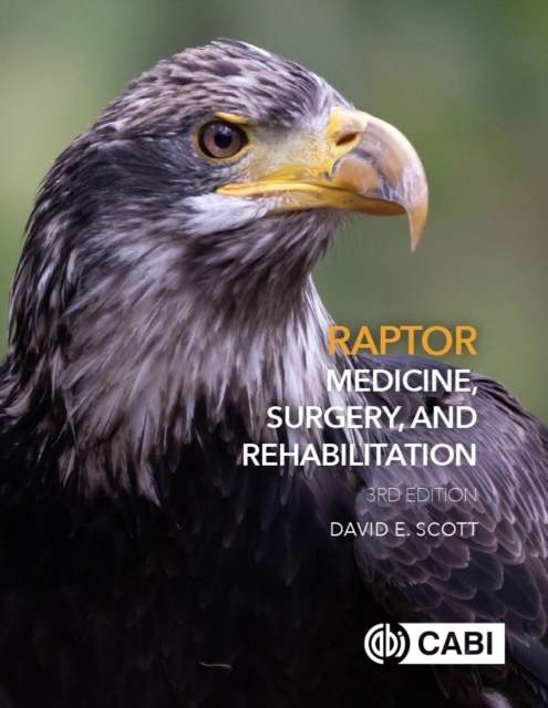Raptor Medicine, Surgery, and Rehabilitation, EPUB eBook