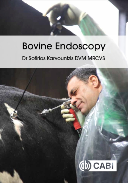 Bovine Endoscopy, Paperback / softback Book