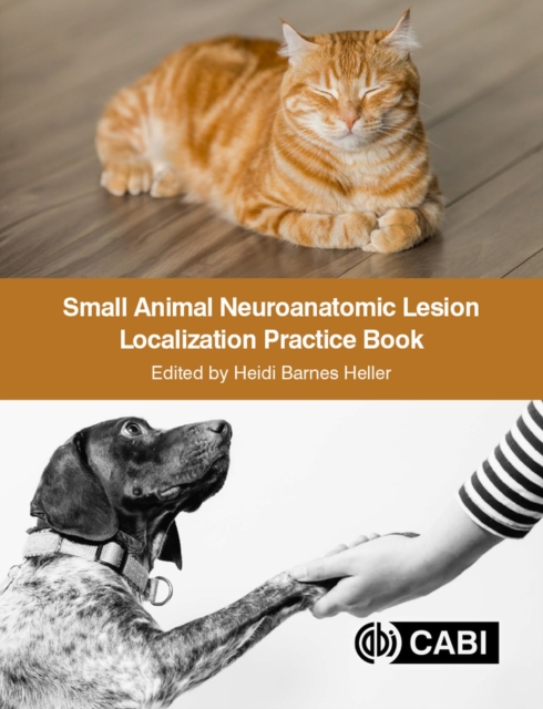 Small Animal Neuroanatomic Lesion Localization Practice Book, Paperback / softback Book