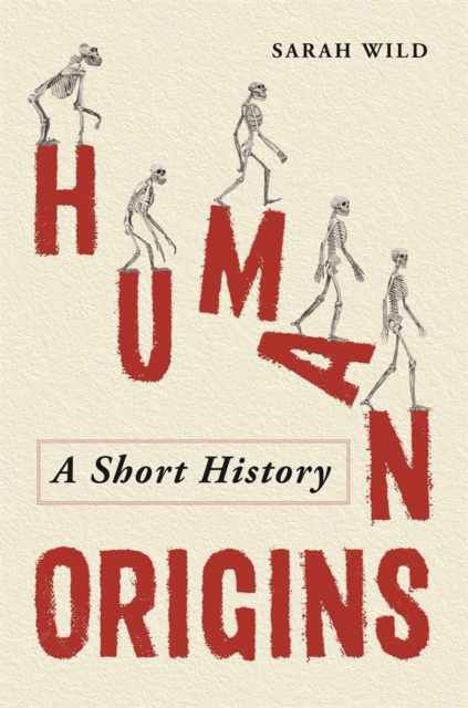 Human Origins : A Short History, Hardback Book