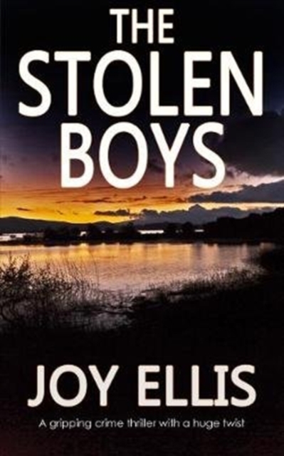 The Stolen Boys, Paperback / softback Book