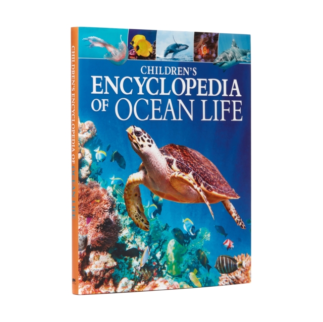 Children's Encyclopedia of Ocean Life : A Deep Dive into Our World's Oceans, Hardback Book