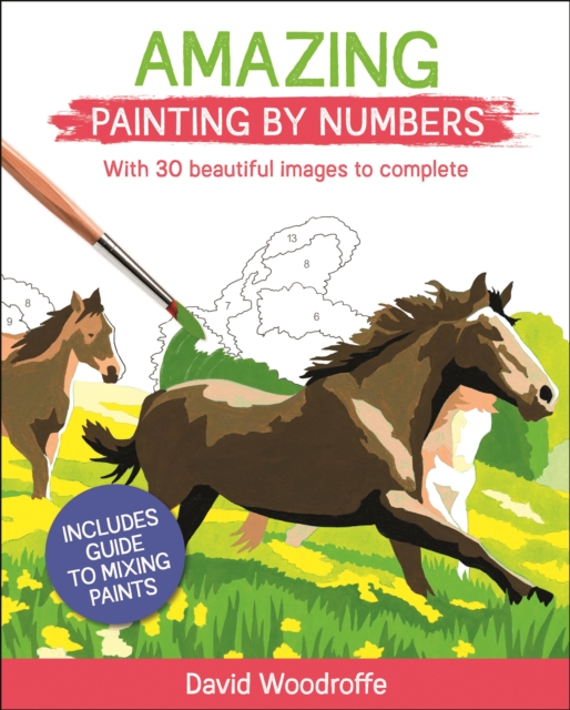 Amazing Painting by Numbers : With 30 Beautiful Images to Complete. Includes Guide to Mixing Paints, Paperback / softback Book
