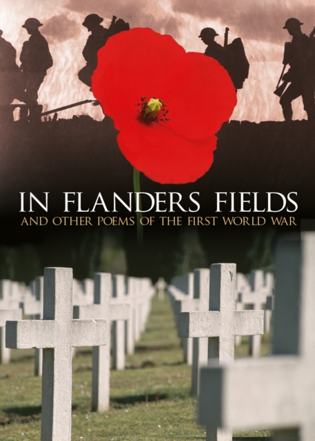 In Flanders Fields, Hardback Book