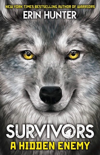 Survivors Book 2 : A Hidden Enemy, PDF eBook