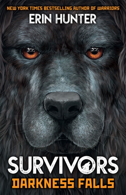Survivors Book 3 : Darkness Falls, PDF eBook