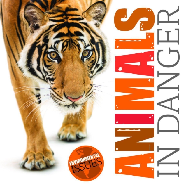 Animals in Danger, Paperback / softback Book