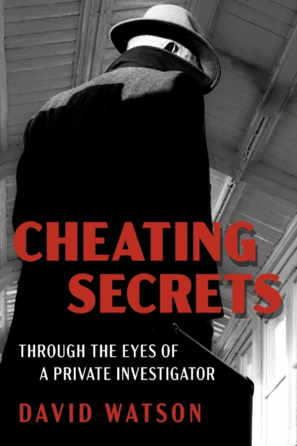 Cheating Secrets : Through the Eyes of a Private Investigator, EPUB eBook
