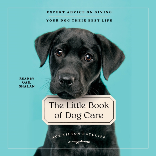The Little Book of Dog Care : Expert Advice on Giving Your Dogs Their Best Life, eAudiobook MP3 eaudioBook