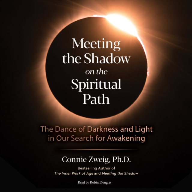 Meeting the Shadow on the Spiritual Path : The Dance of Darkness and Light in Our Search for Awakening, eAudiobook MP3 eaudioBook