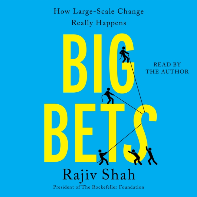 Big Bets : How Large-Scale Change Really Happens, eAudiobook MP3 eaudioBook