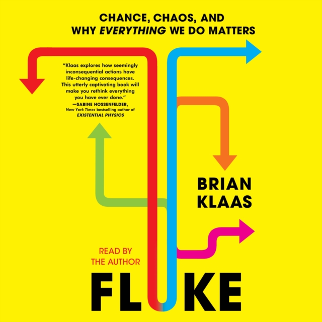 Fluke : Chance, Chaos, and Why Everything We Do Matters, eAudiobook MP3 eaudioBook