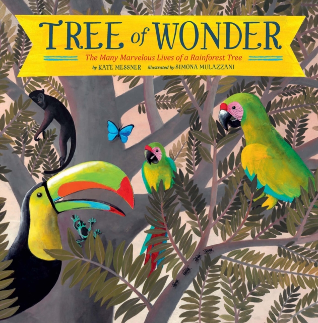 Tree of Wonder : The Many Marvelous Lives of a Rainforest Tree, Paperback / softback Book