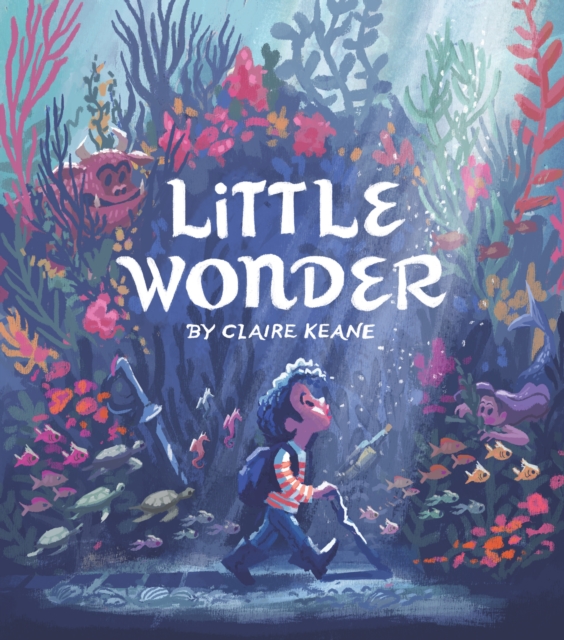 Little Wonder, Hardback Book