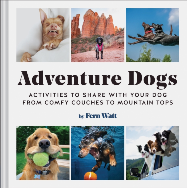 Adventure Dogs : Activities to Share with Your Dog - from Comfy Couches to Mountain Tops, EPUB eBook