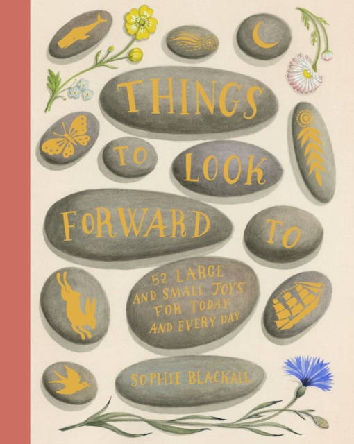 Things to Look Forward To : 52 Large and Small Joys for Today and Every Day, EPUB eBook