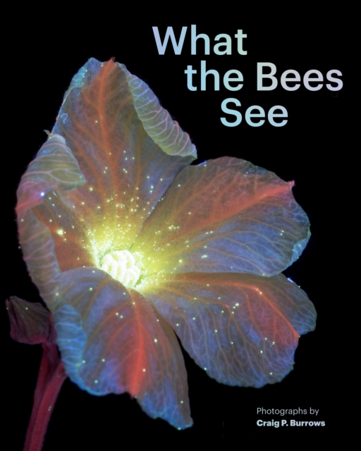 What the Bees See, EPUB eBook