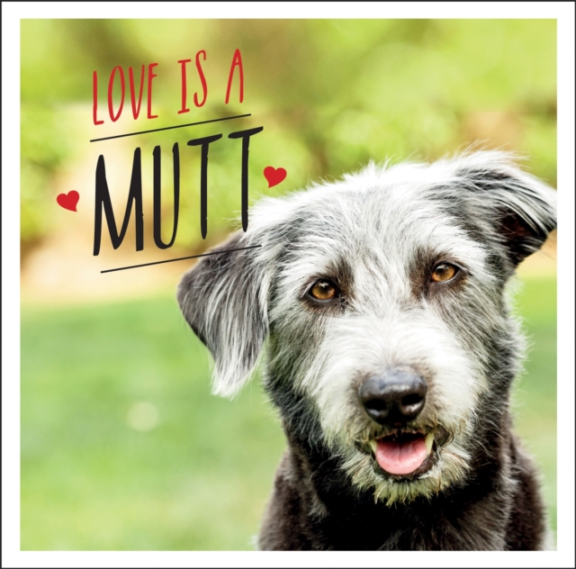 Love is a Mutt : A Dog-Tastic Celebration of the World's Cutest Mixed and Cross Breeds, EPUB eBook