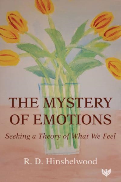 The Mystery of Emotions : Seeking a Theory of What We Feel, Paperback / softback Book