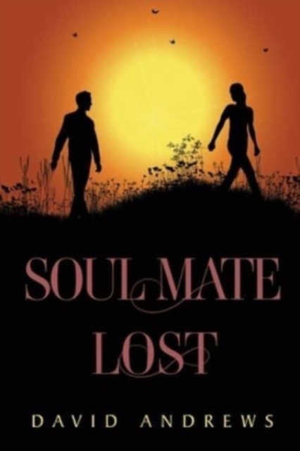 Soul Mate Lost, Paperback / softback Book