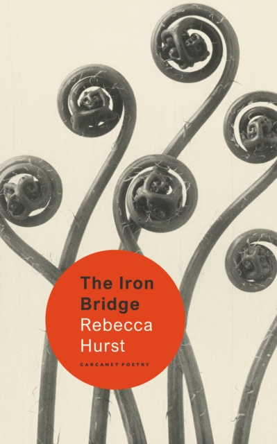 The Iron Bridge, EPUB eBook