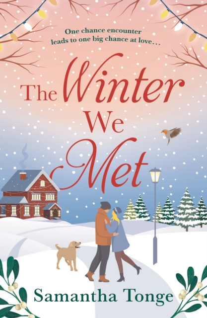 The Winter We Met, Paperback / softback Book