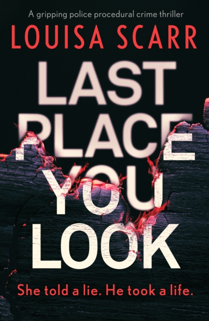 Last Place You Look : A gripping police procedural crime thriller, EPUB eBook
