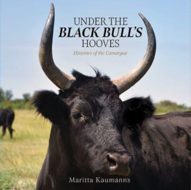 Under the Black Bull's Hooves : Histories of the Camargue, Paperback / softback Book