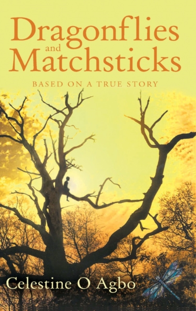 Dragonflies and Matchsticks, EPUB eBook