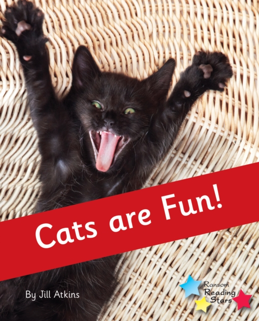 Cats are Fun! : Phonics Phase 4, PDF eBook
