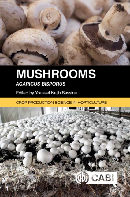 Mushrooms : Agaricus bisporus, Paperback / softback Book