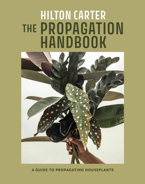 The Propagation Handbook : A Guide to Propagating Houseplants, Hardback Book