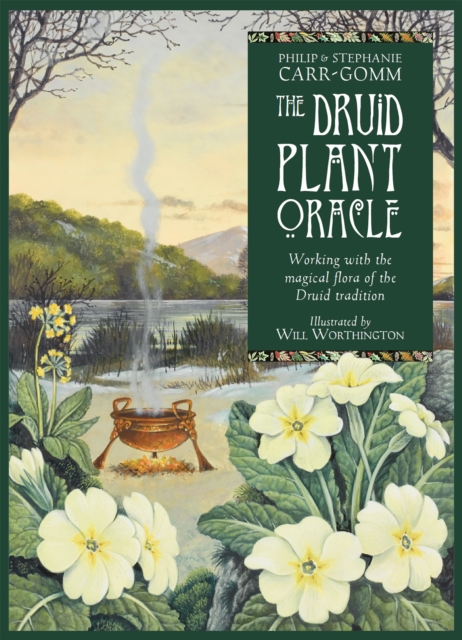 The Druid Plant Oracle : Working with the magical flora of the Druid tradition, Multiple-component retail product, boxed Book