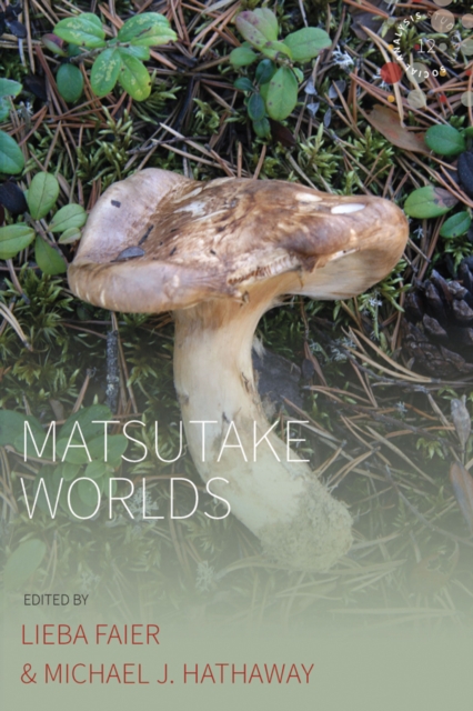 Matsutake Worlds, EPUB eBook