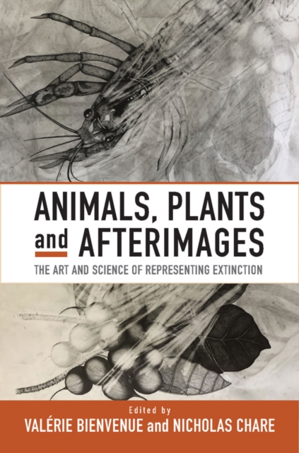 Animals, Plants and Afterimages : The Art and Science of Representing Extinction, EPUB eBook