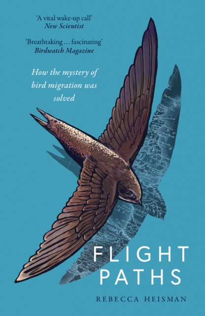 Flight Paths : How the mystery of bird migration was solved, Paperback / softback Book