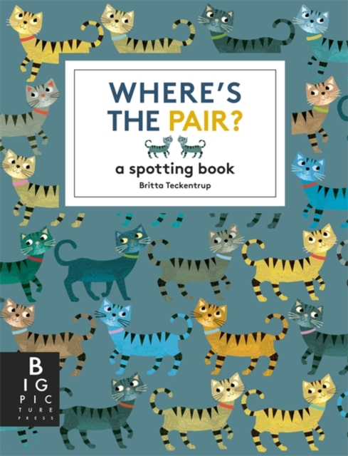 Where's the Pair? : A Spotting Book, Paperback / softback Book