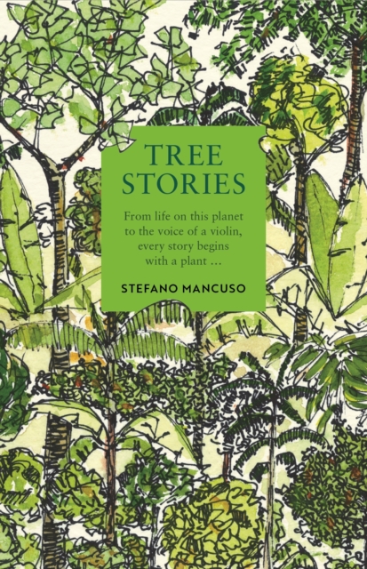 Tree Stories : How trees plant our world and connect our lives, Hardback Book