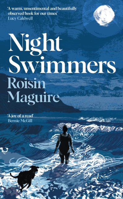 Night Swimmers, Hardback Book
