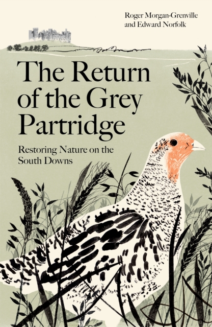 The Return of the Grey Partridge : Restoring Nature on the South Downs, Hardback Book