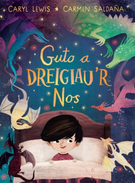 Guto a Dreigiau'r Nos, Hardback Book