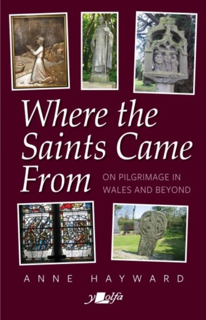 Where the Saints Came From : On Pilgrimage in Wales and Beyond, Paperback / softback Book