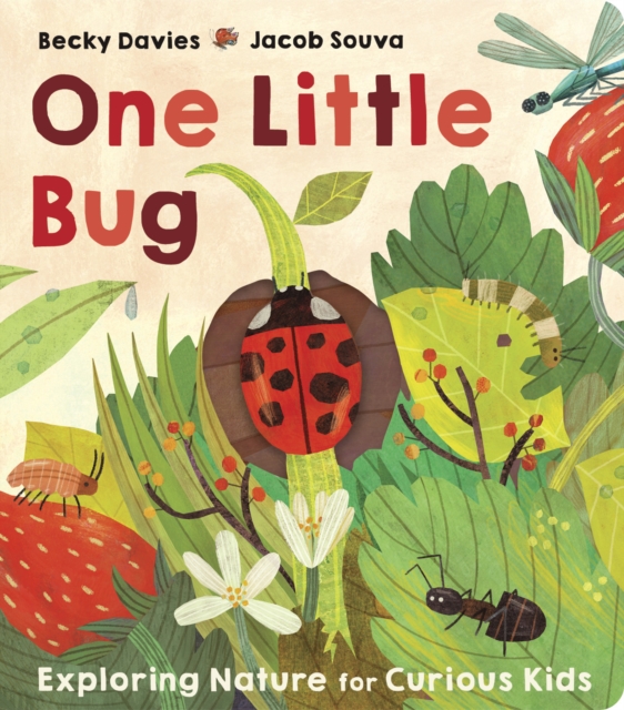 One Little Bug, Board book Book