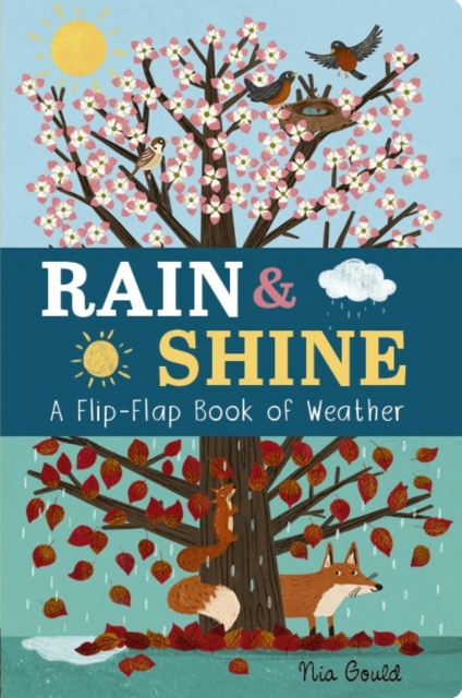 Rain & Shine: A Flip-Flap Book of Weather, Board book Book