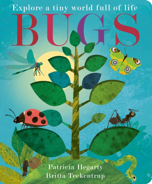Bugs, Board book Book