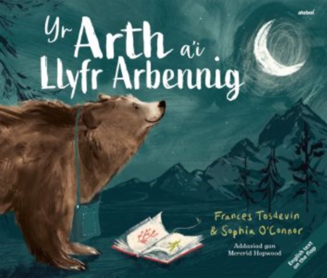 Arth a'i Llyfr Arbennig, Yr / Bear and her Book, The, Paperback / softback Book
