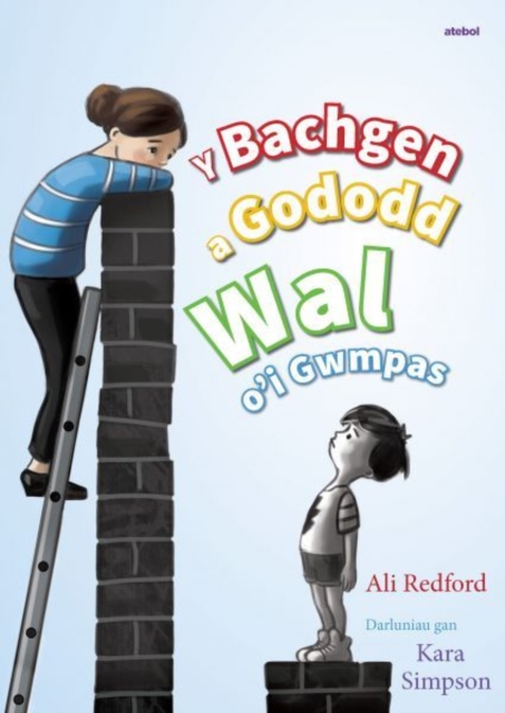 Y Bachgen a Gododd Wal o'i Gwmpas, EPUB eBook