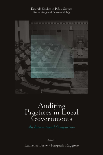 Auditing Practices in Local Governments : An International Comparison, PDF eBook