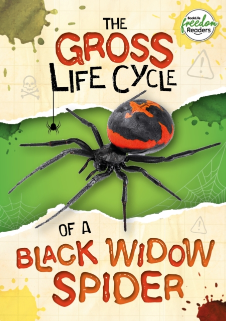 The Gross Life Cycle of a Black Widow Spider, Paperback / softback Book