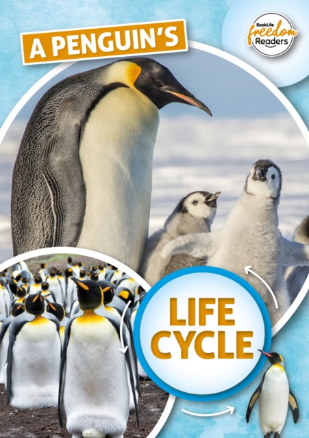 A Penguin's Life Cycle, Paperback / softback Book